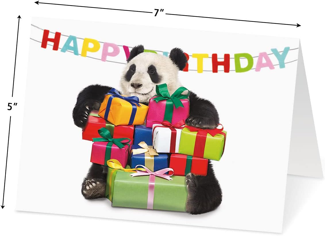 Current Big Bouquet Animal All Occasion Value Pack - 20 Cards With Envelopes, Celebration, Get Well, Sympathy, Birthday, Anniversary & Thinking of You Variety, Large 5" x 7" Assortment, 10 Design Set