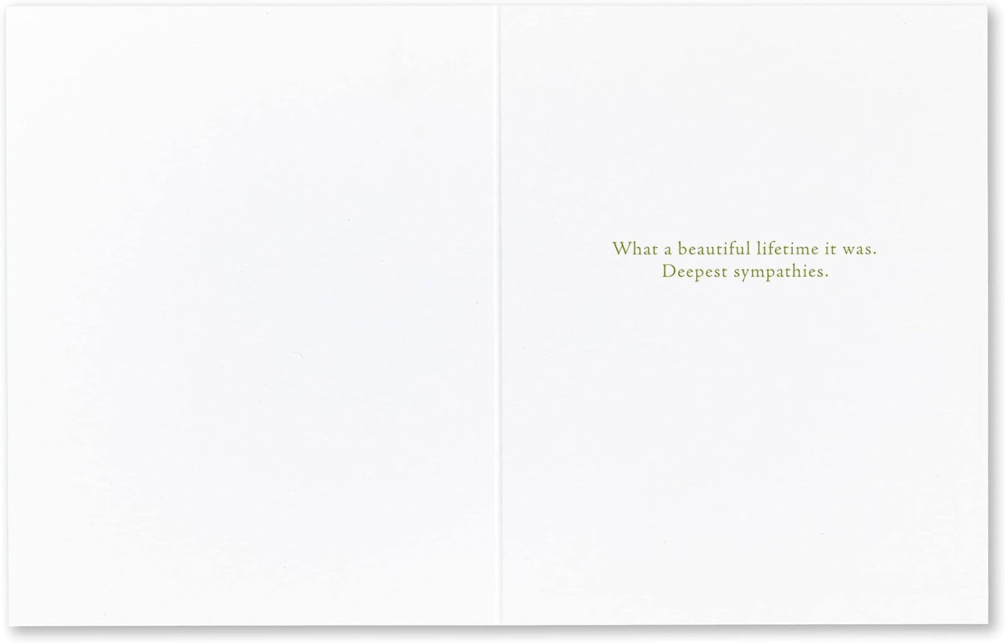 Compendium Positively Green 4-Pack of Pet Sympathy Cards – Assorted (Four Different Designs, One Card Each, with Envelopes)