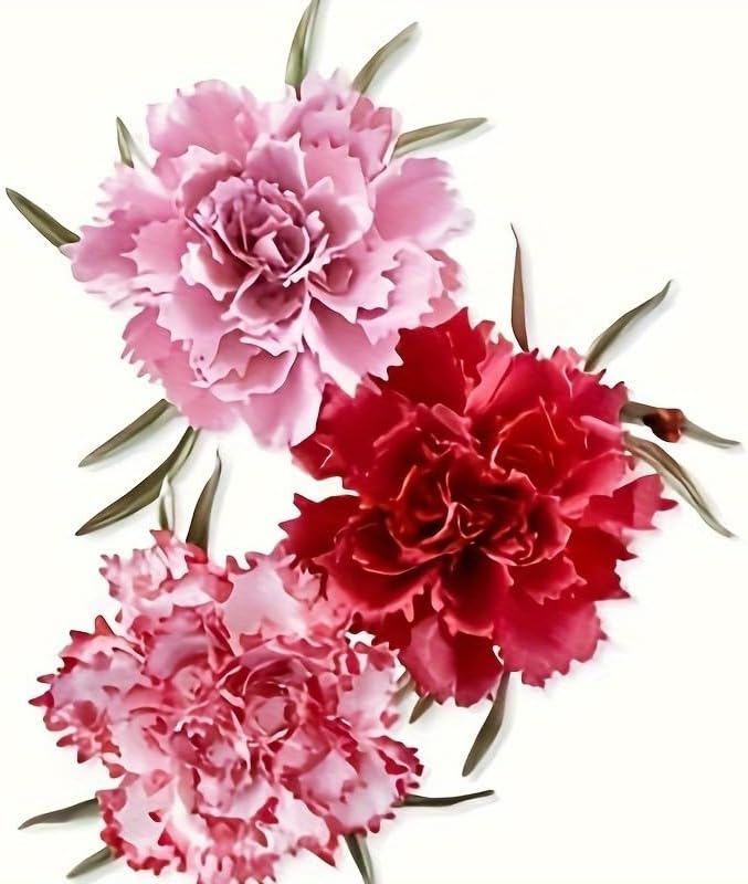 Flowers Metal Cutting Die for Scrapbooking - Cut Stencils for DIY Scrapbook Photo Album Decorative Paper Card, Card Making Supplies, Stencils & Crafting Die Cut (Pencil Shavings Flower 4.1 x 3.2 in)