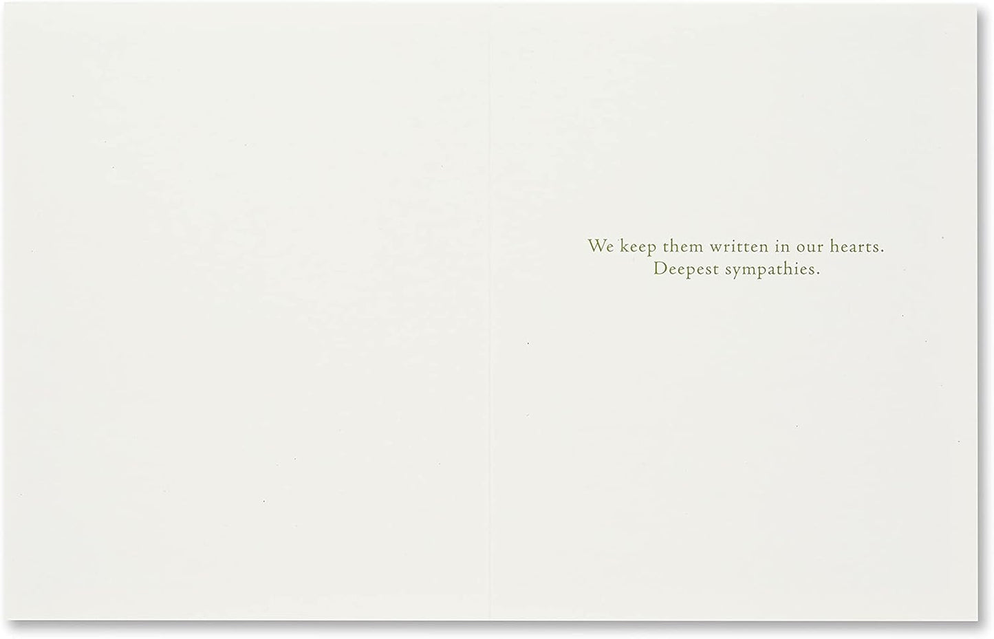 Compendium Positively Green 4-Pack of Sympathy Cards – Stories do not end (Four Cards Total, One Design, with Envelopes)