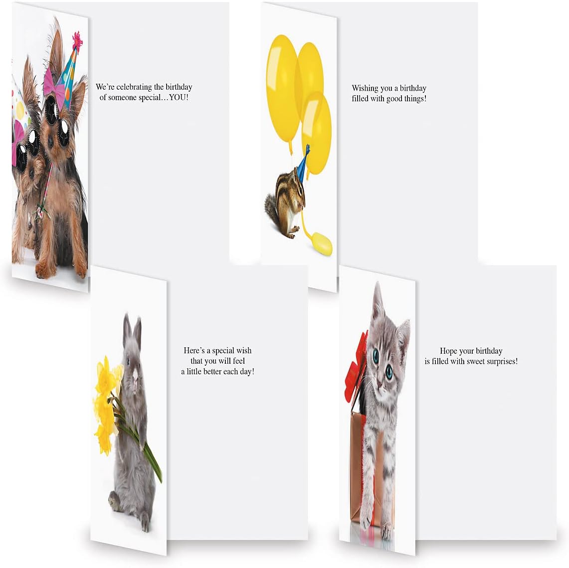 Current Big Bouquet Animal All Occasion Value Pack - 20 Cards With Envelopes, Celebration, Get Well, Sympathy, Birthday, Anniversary & Thinking of You Variety, Large 5" x 7" Assortment, 10 Design Set