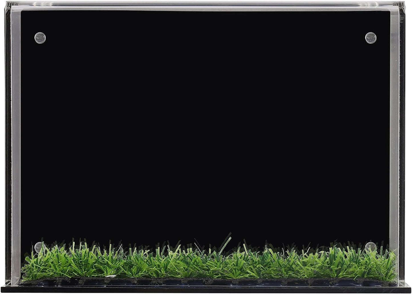 Golf Ball Display Case Stand with Turf Base