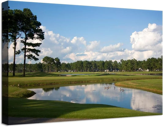 South Carolina Myrtle Beach Wall Art for Living Room Bedroom Bathroom Home Decorations Paintings Canvas Prints Framed Ready to Hang(12''H x 16''W)