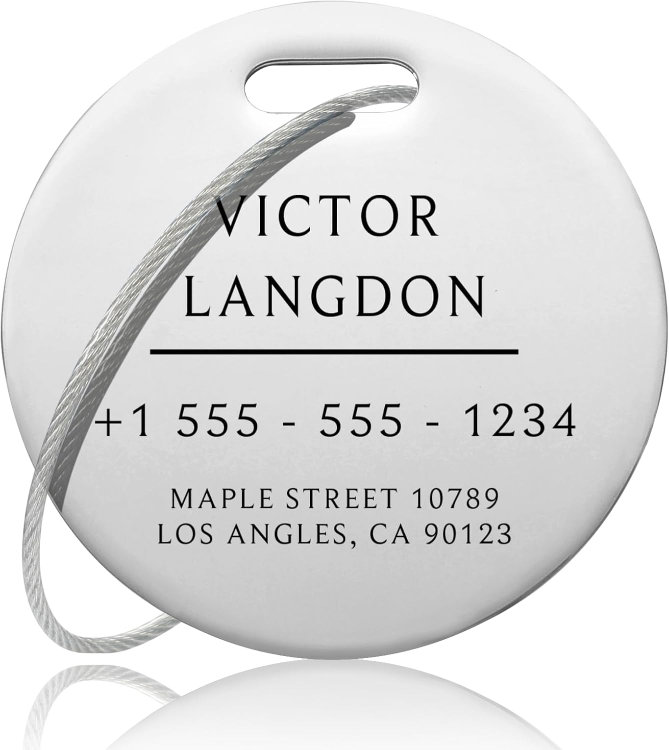 Stainless Luggage Tags for Suitcases: Metal Personalized Luggage Tags and Bags with Customizable Texts (Silver)