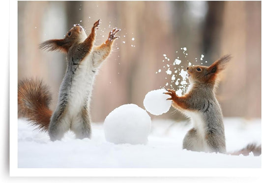 Photographic Happy Holidays Cards, Squirrels Play Catch (6 Cards with White Envelopes)