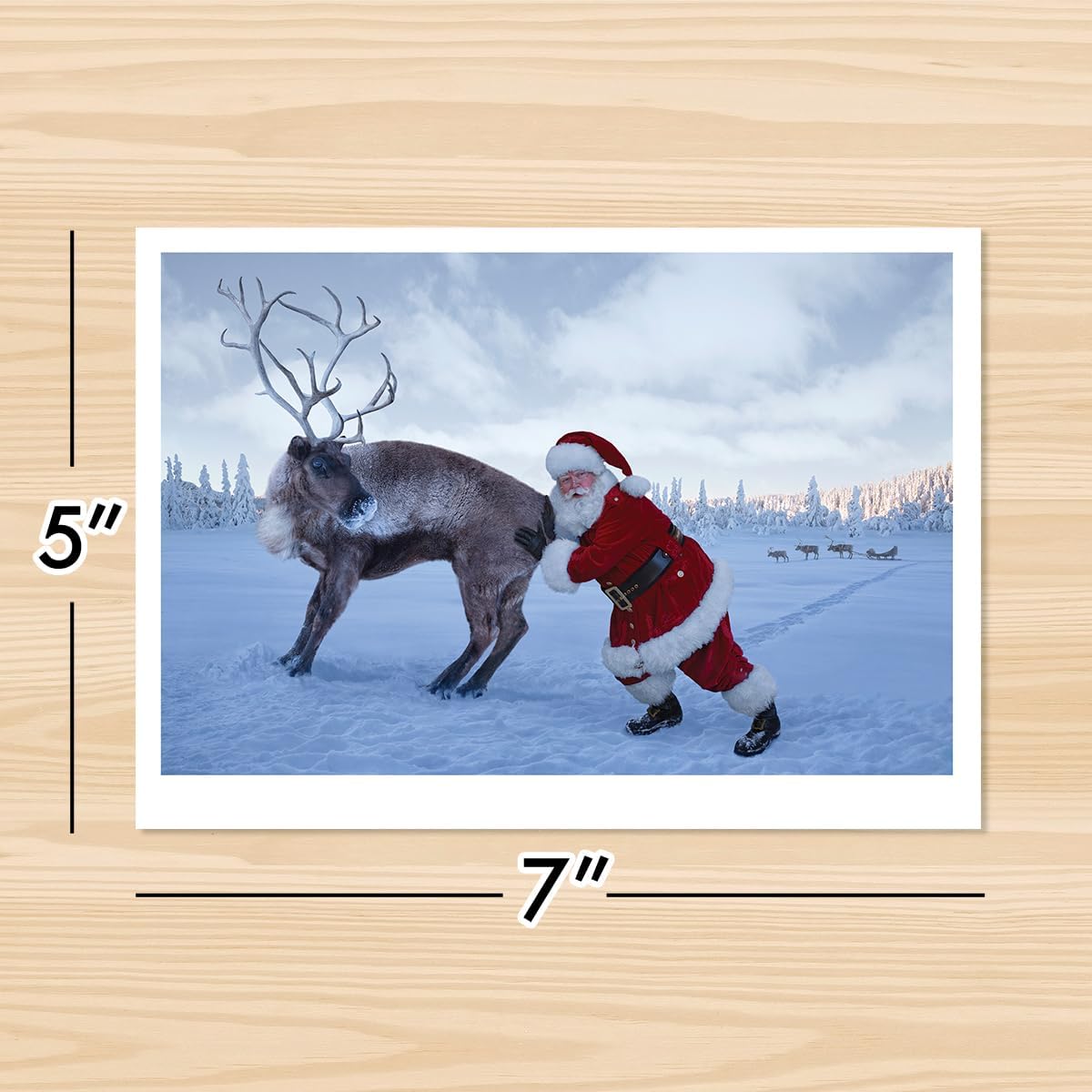 Photographic Christmas Cards, Santa Claus Pushing a Stubborn Reindeer (6 Cards with White Envelopes)