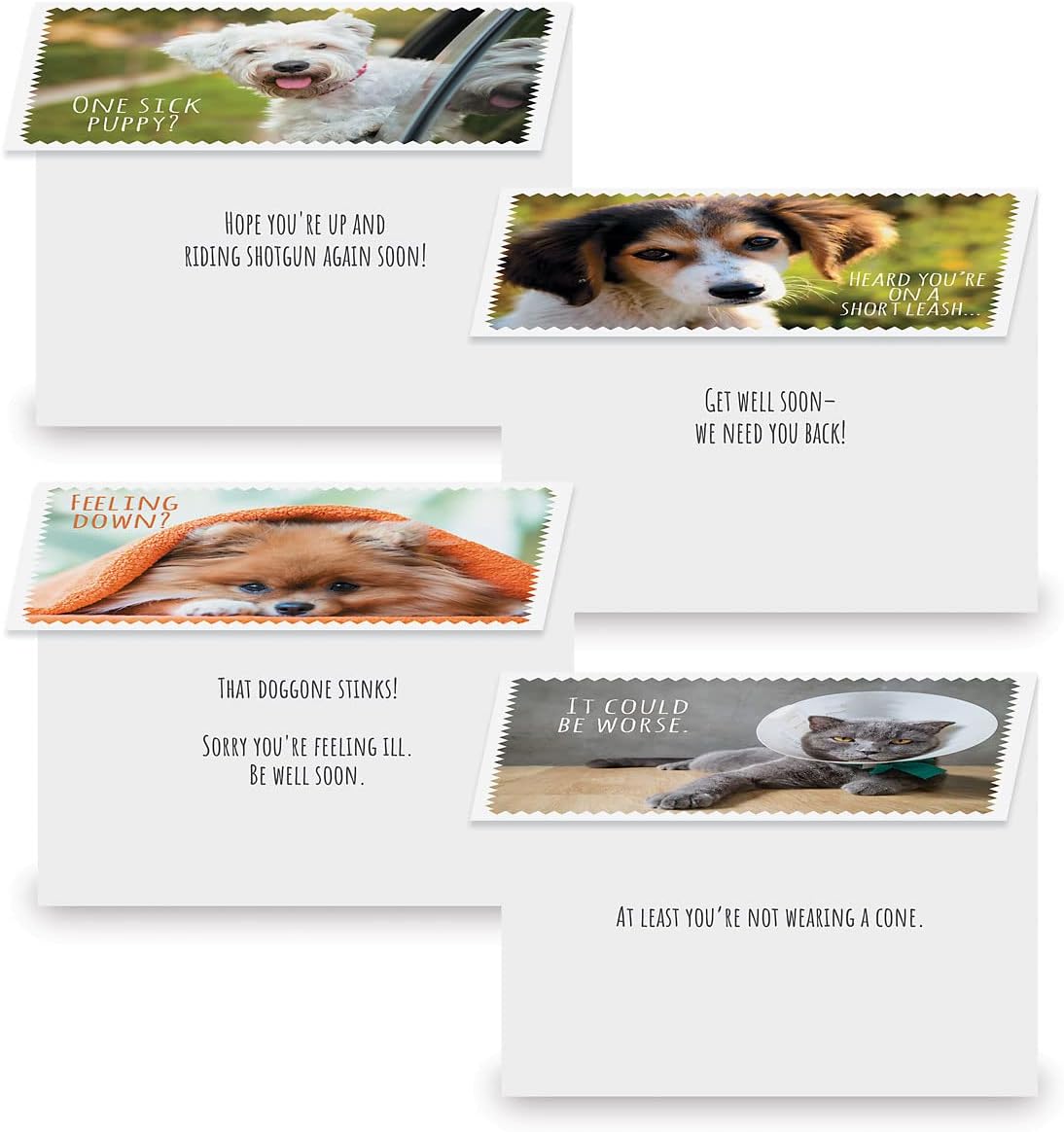 Current Furry Friends Get Well Greeting Cards Value Pack - Set of 20, 10 Unique Designs, Large 5 x 7 Inch Cards, Sentiments Inside, Dogs, Cats, Pets