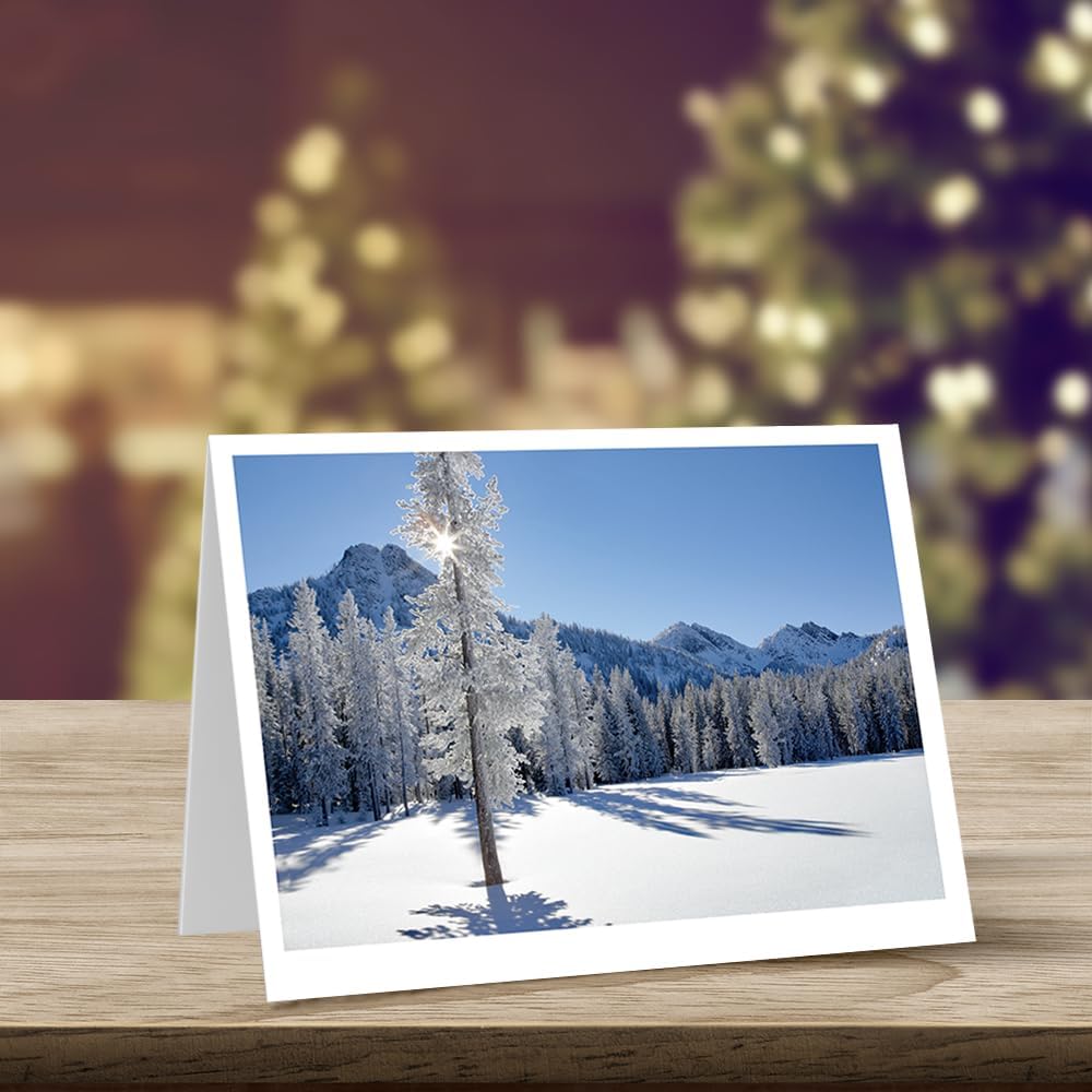 Photographic Happy Holidays Cards, Snowy Trees (6 Cards with White Envelopes)