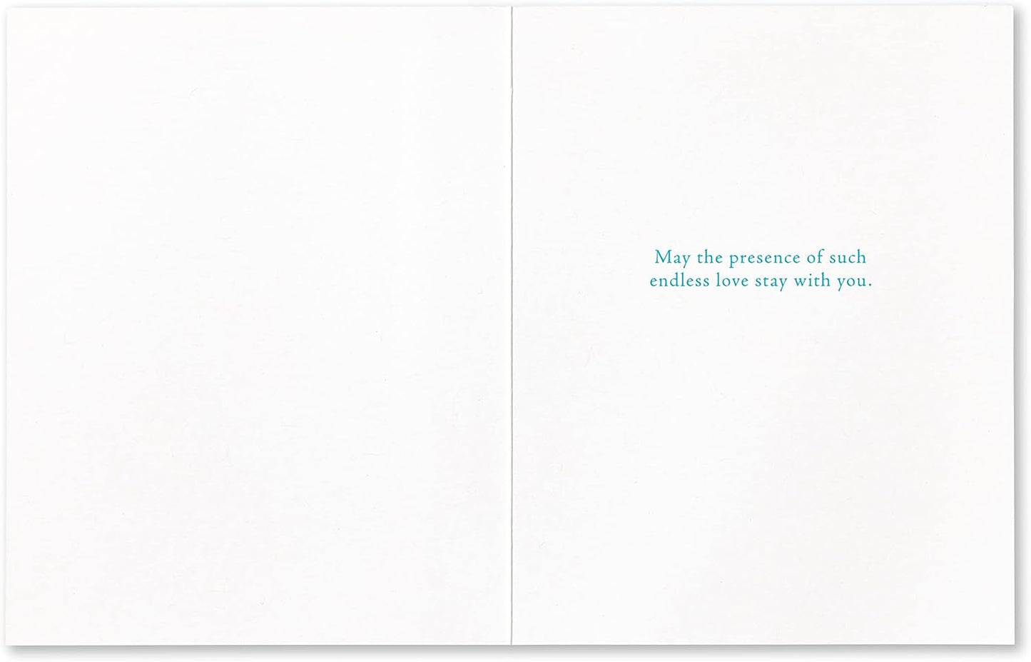 Compendium Positively Green 4-Pack of Sympathy Cards - Assorted Designs, 5.38 in x 4.25 in