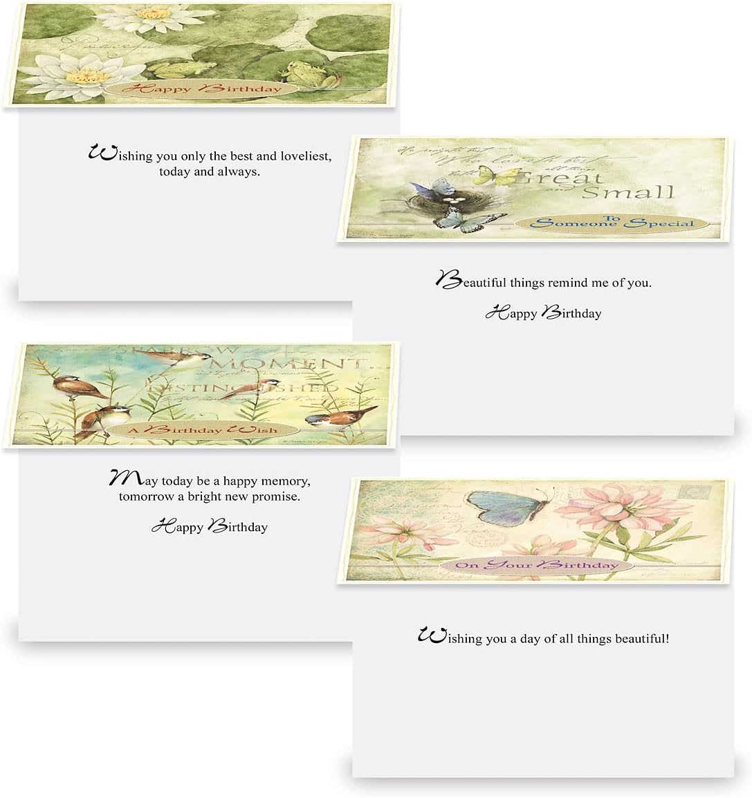 Current Nature's Sanctuary Happy Birthday Greeting Card Set - Value Pack of 20 Cards With White Envelopes, 10 Designs, Large 5" x 7" Assortment