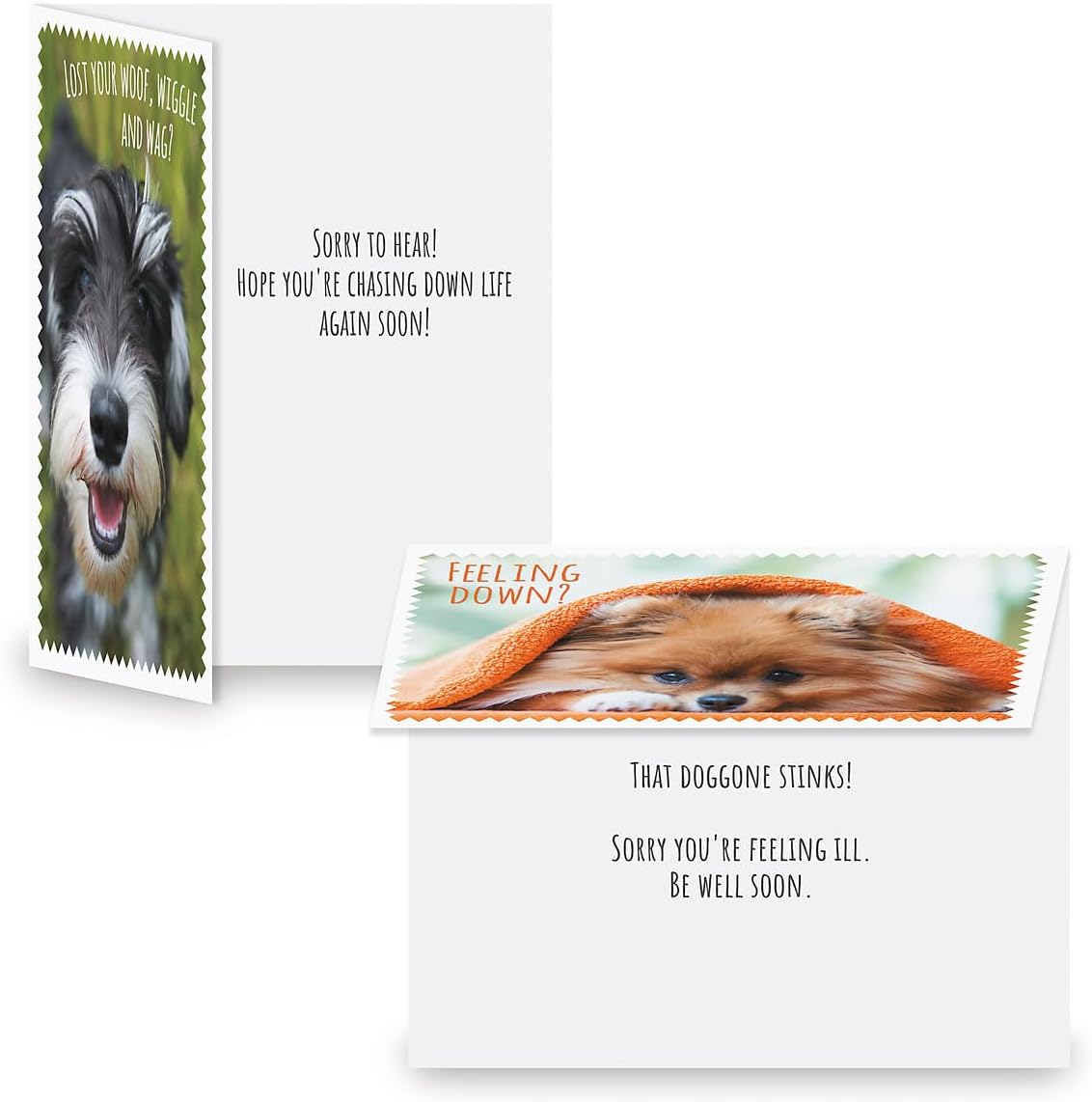 Furry Get Well Greeting Cards - Set of 8 (4 designs), Large 5" x 7", Dog Design Get Well Soon Cards with Sentiments Inside, White Envelopes