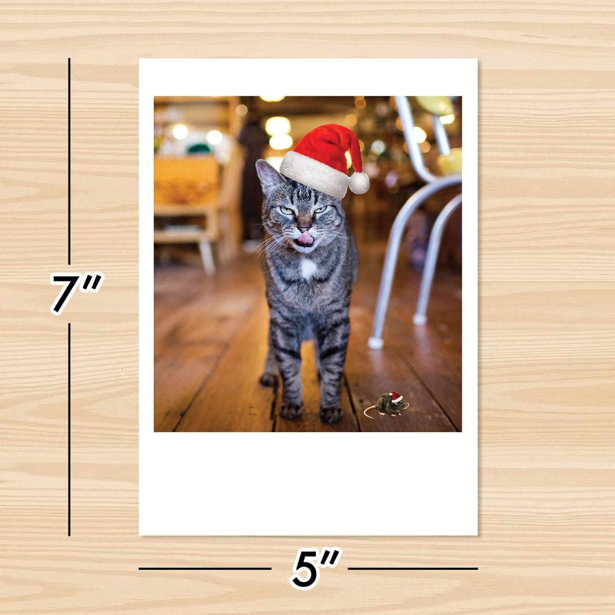 Photographic Christmas Cards, “Not a Creature Was Stirring,” Cat and Mouse with Santa Hats (6 Cards with White Envelopes)