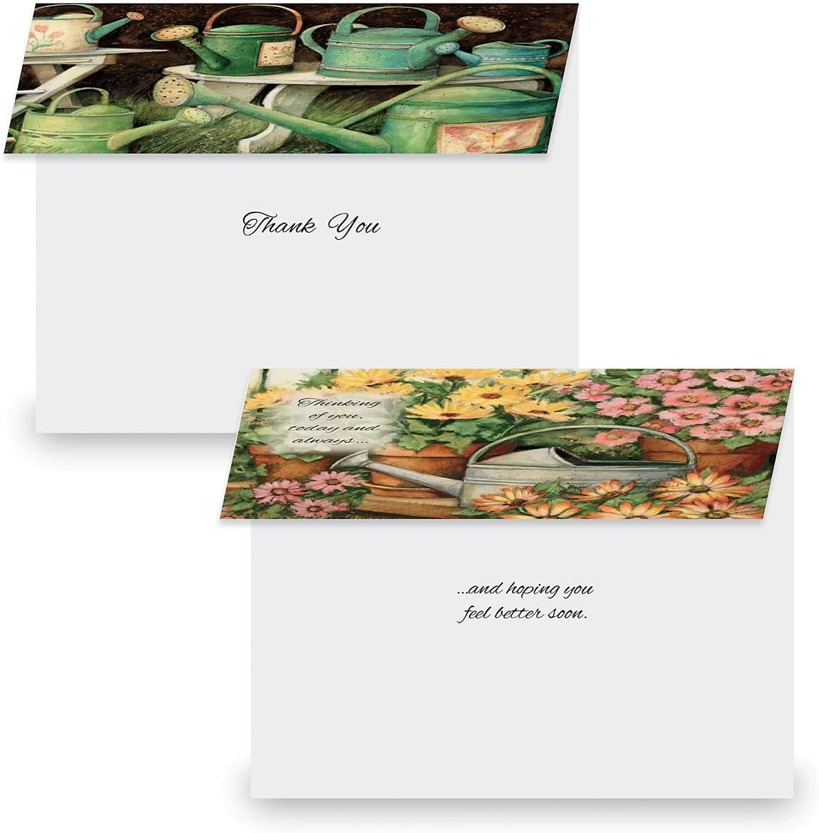 Current Country All Occasion Value Pack - 20 Cards With Envelopes, Celebration, Get Well, Sympathy, Birthday, Anniversary & Thinking of You Variety, Large 5" x 7" Assortment, 10 Design Set