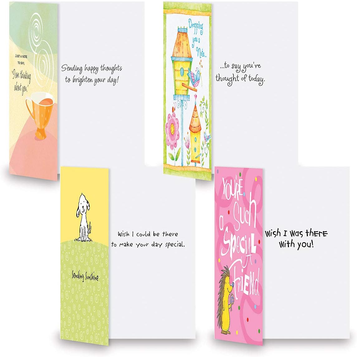 Current Friendship II Thinking of You Friendship Greeting Card Set - Value Pack of 20 Cards With White Envelopes for Friends & Family, 10 Designs, Large 5" x 7" Assortment