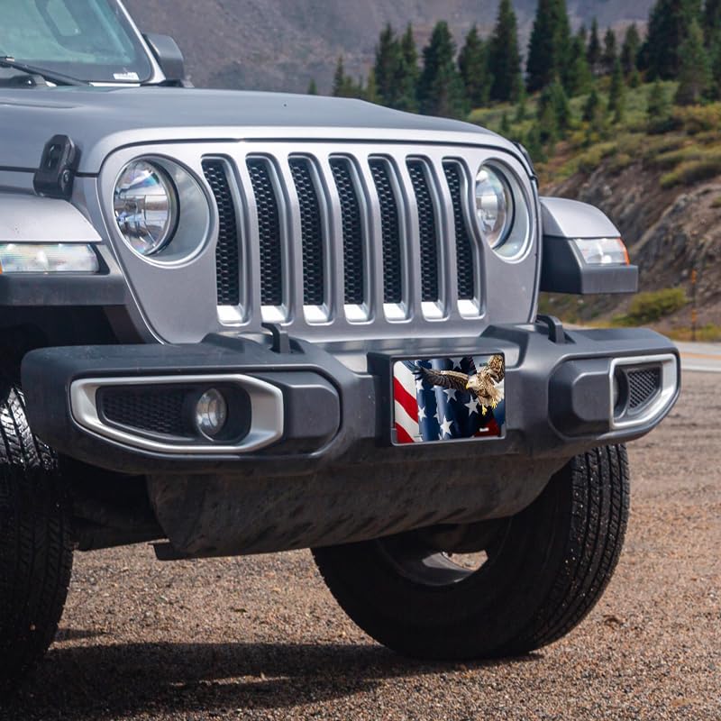 Unique Vanity License Plates | 16 Individual Designs | 3 Sizes (Automobile, Golf Cart, Motorcycle/Bike) | Made in U.S.A. | Custom Car Tags (Bald Eagle, Golf Cart (7" x 4"))