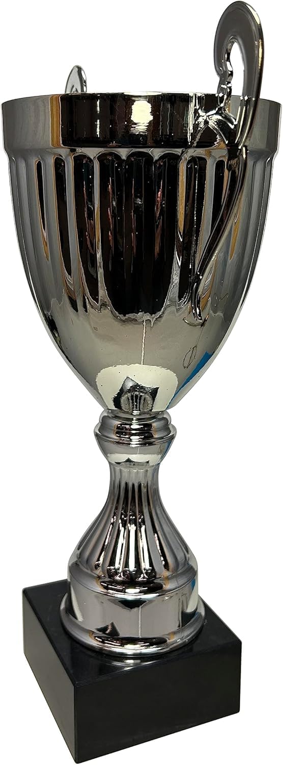 Express Medals Various Styles of Award Trophy Cups Trophies Prize Gift Champion Winner 1st Place