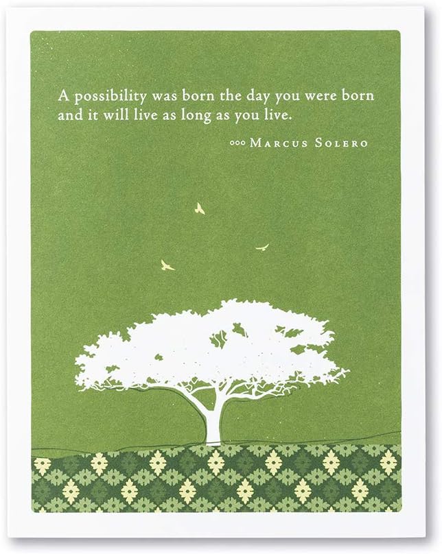 Compendium Positively Green 4-Pack of Birthday Cards - Birthday Delights