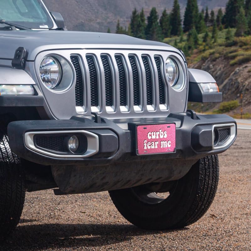 Unique Vanity License Plates | 16 Individual Designs | 3 Sizes (Automobile, Golf Cart, Motorcycle/Bike) | Made in U.S.A. | Custom Car Tags (Curbs Fear Me, Golf Cart (7" x 4"))