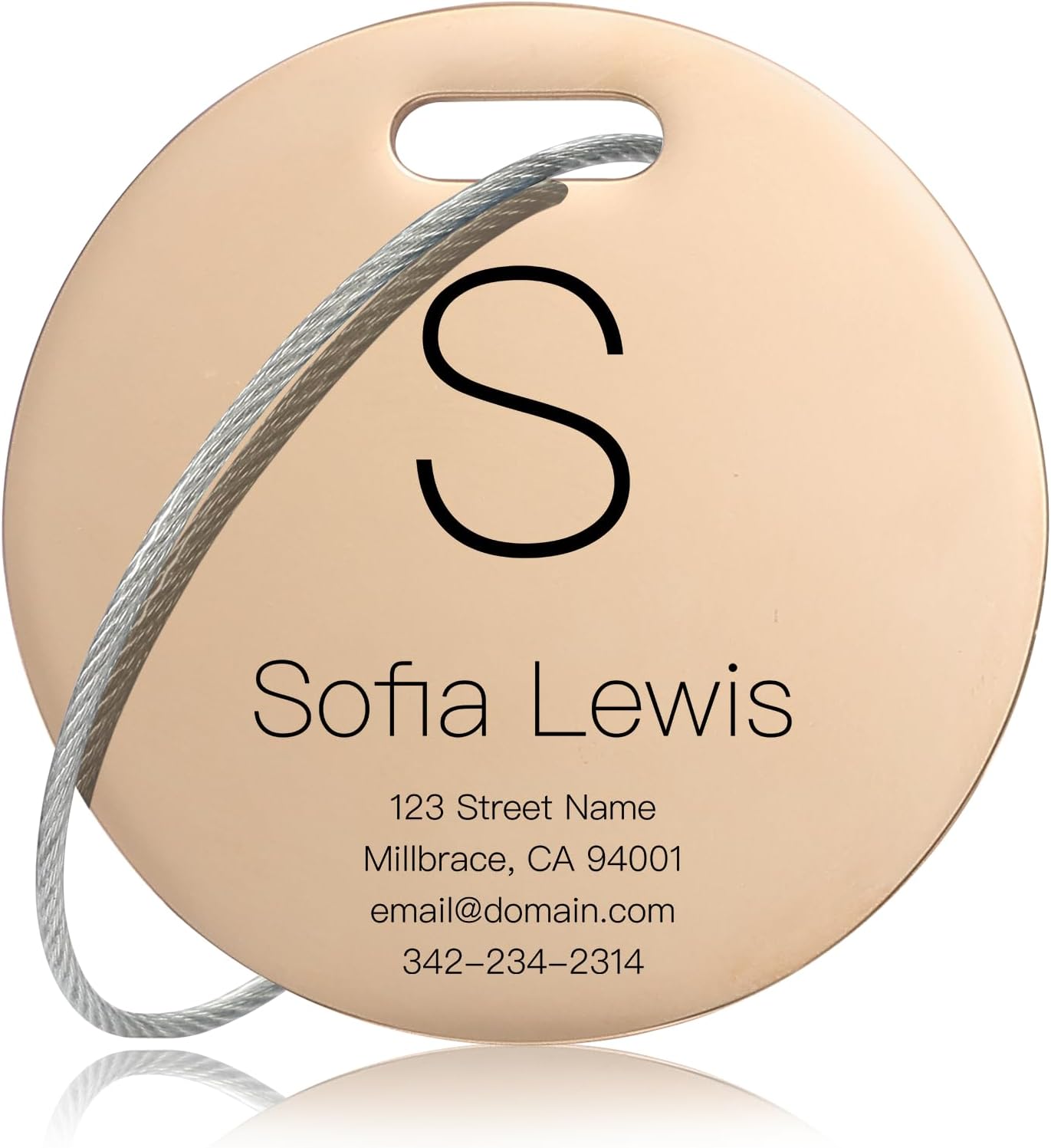Customized Stainless Steel Luggage Tags: Personalize Your Suitcases, Backpacks, and Bags with Your Text (Rose Gold)