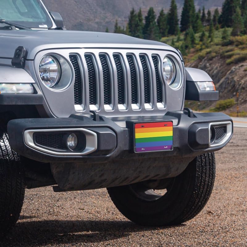 Unique Vanity License Plates | 16 Individual Designs | 3 Sizes (Automobile, Golf Cart, Motorcycle/Bike) | Made in U.S.A. | Custom Car Tags (Pride, Golf Cart (7" x 4"))