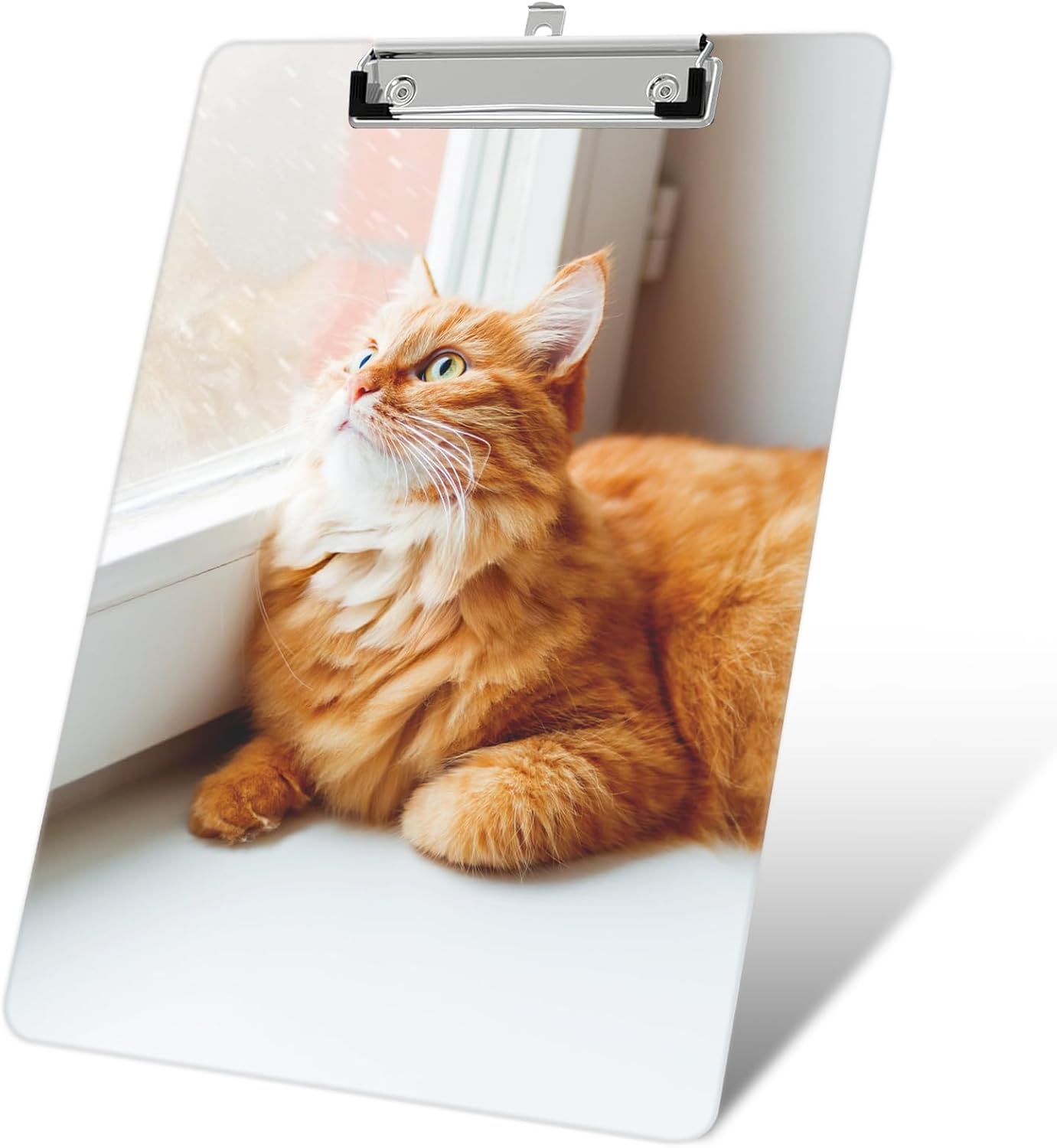 Plastic A4 Clipboards, Cute Fashion Clipboard Decorative, 12.2" x 8.7" Standard A4 Size Clipboards, Plastic Acrylic Clipboard for Teacher, Social Worker, Students,Women, Office Supplies(Cat)