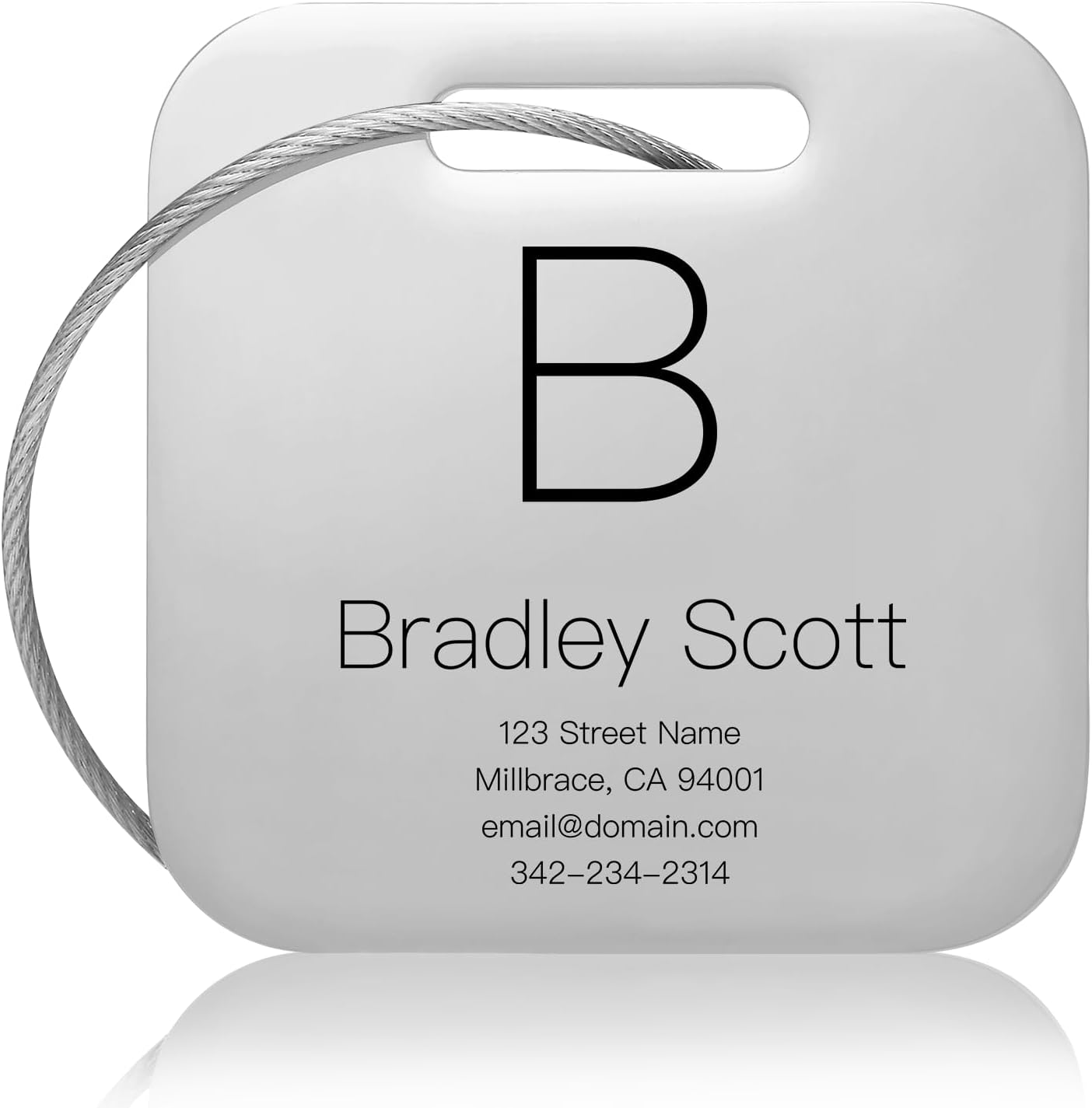 Customized Stainless Steel Luggage Tags: Personalize Your Suitcases, Backpacks, and Bags with Your Text (Silver)