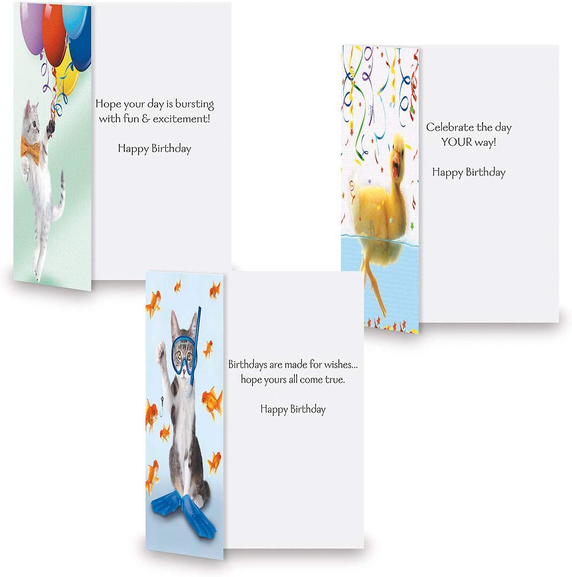 Current Kids Animal Photo Happy Birthday Greeting Card Set - Value Pack of 20 Cards for Kids With White Envelopes, 10 Designs, Large 5" x 7" Assortment