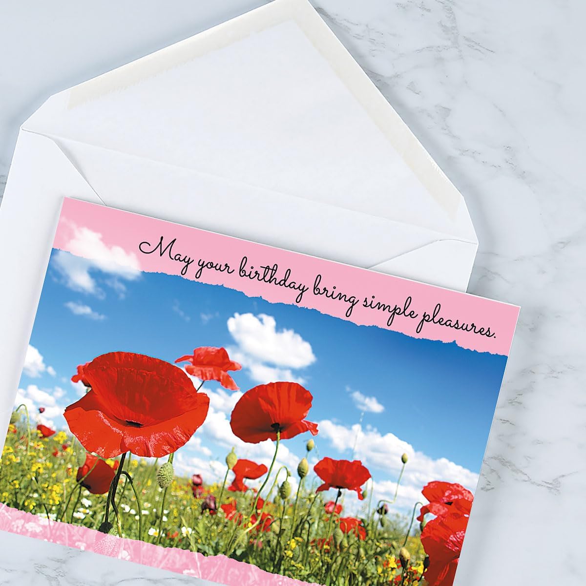 Current Scenic Inspirations Happy Birthday Greeting Card Set - Value Pack of 20 Cards With White Envelopes, 10 Designs, Large 5" x 7" Assortment