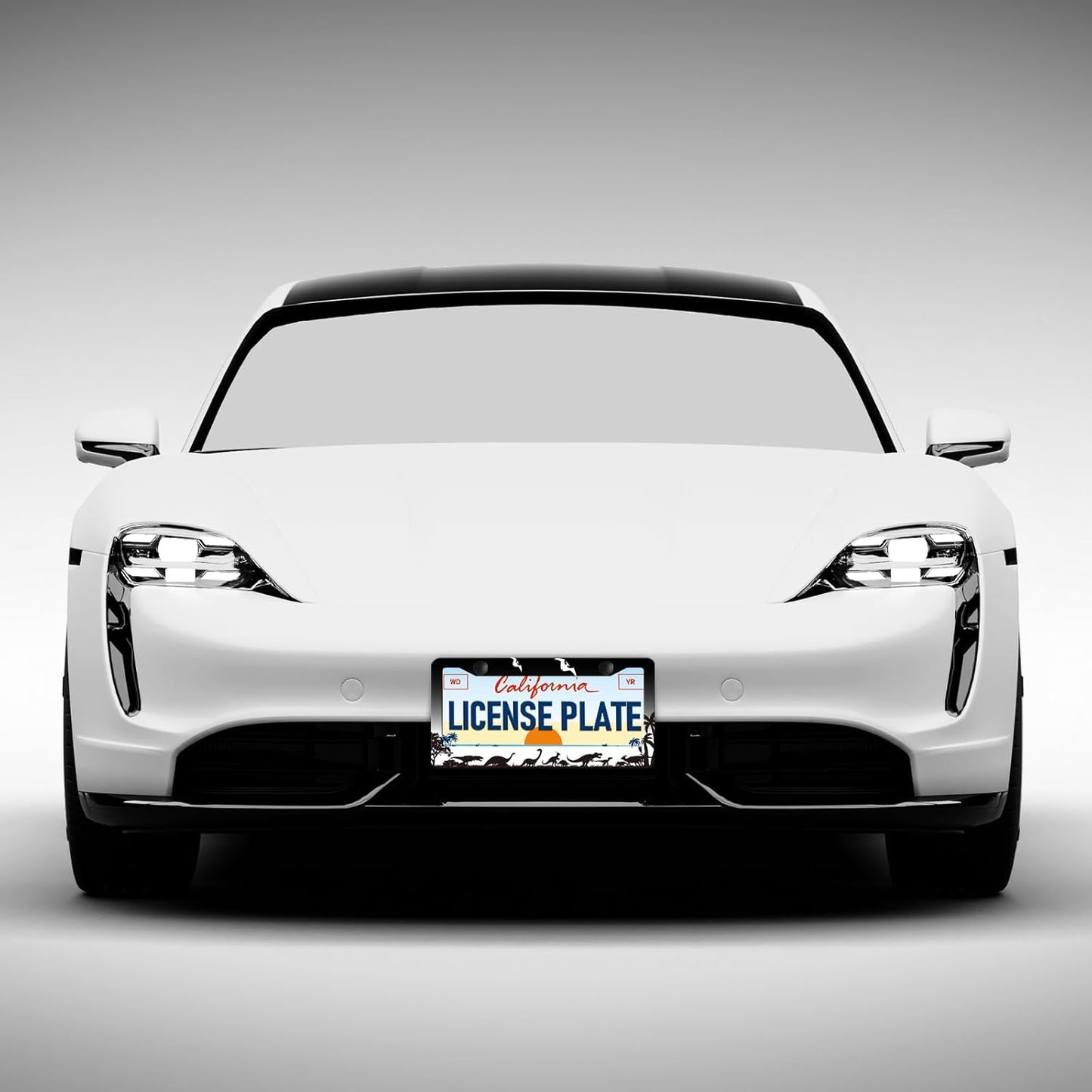 Dinosaurs Silhouette License Plate Frames - 2 Pack Personalise License Plates Holder Covers, Aluminum Metal Rust-Proof Waterproof Car Tag Frame with Screws Fasteners Caps