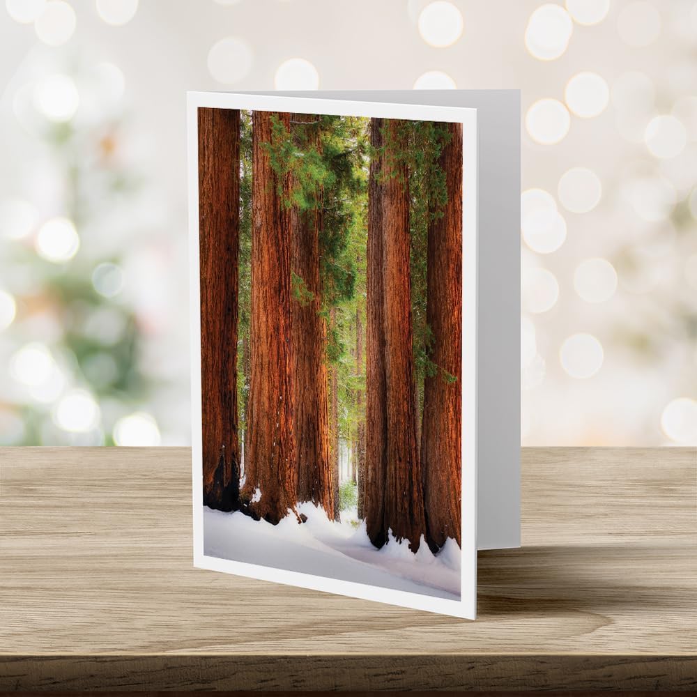 Photographic Season’s Greetings Cards, Sequoia National Park (6 Cards with White Envelopes)
