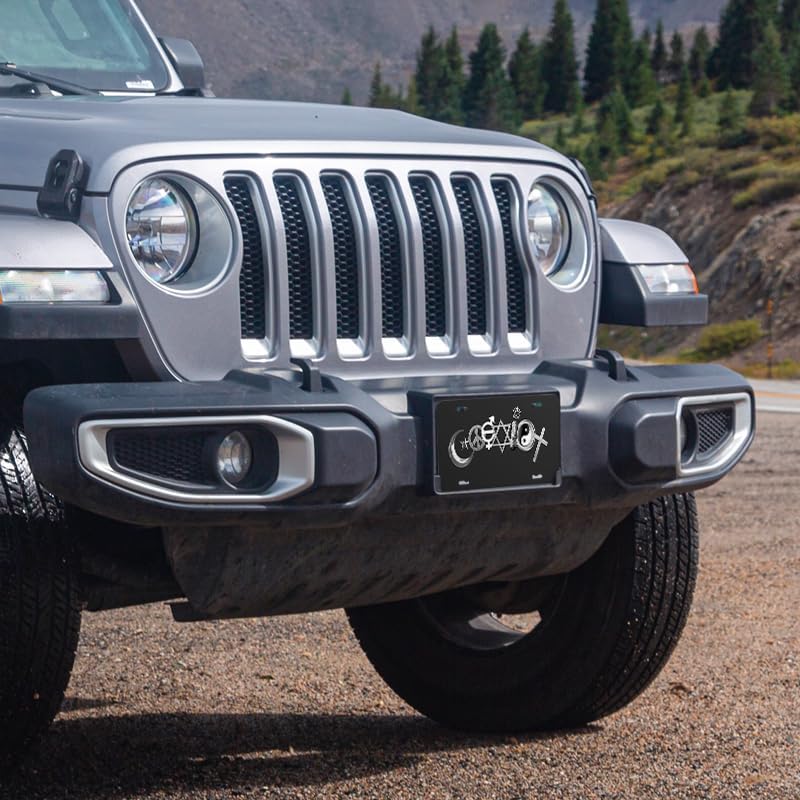 Unique Vanity License Plates | 16 Individual Designs | 3 Sizes (Automobile, Golf Cart, Motorcycle/Bike) | Made in U.S.A. | Custom Car Tags (Coexist, Golf Cart (7" x 4"))