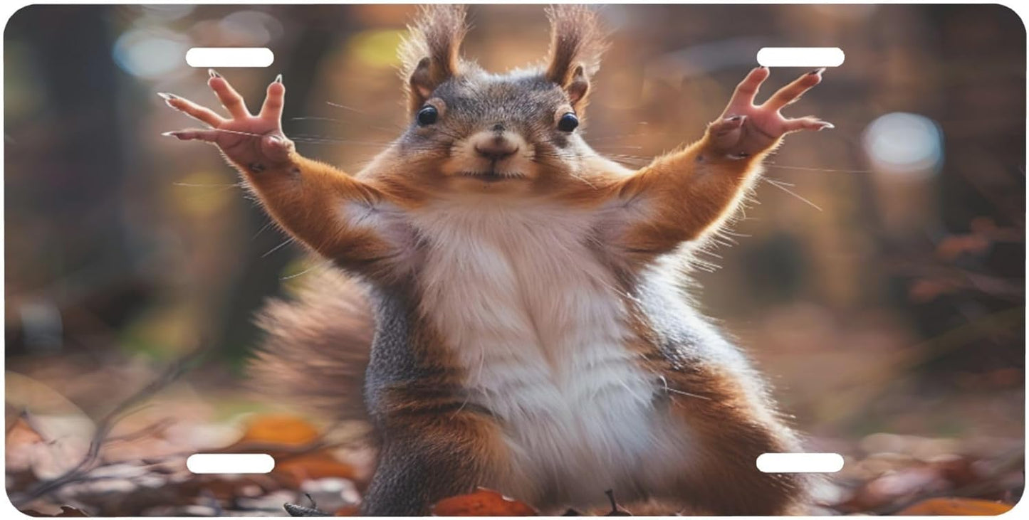 Funny Squirrel Fall License Plate Funny Aluminum Front License Plates Decorative Waterproof Rust-Free Metal Car Plate Covers for Women Men Car Tag Accessories fit Truck SUV Rv 12 X 6 Inch