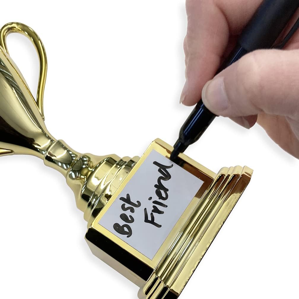 Customizable Novelty Trophy Cup Holographic, Funny Humor Gift, Rewards, Prizes, Award, Winning, Celebrations, Party, Reusable - 8" H x 3.25" W