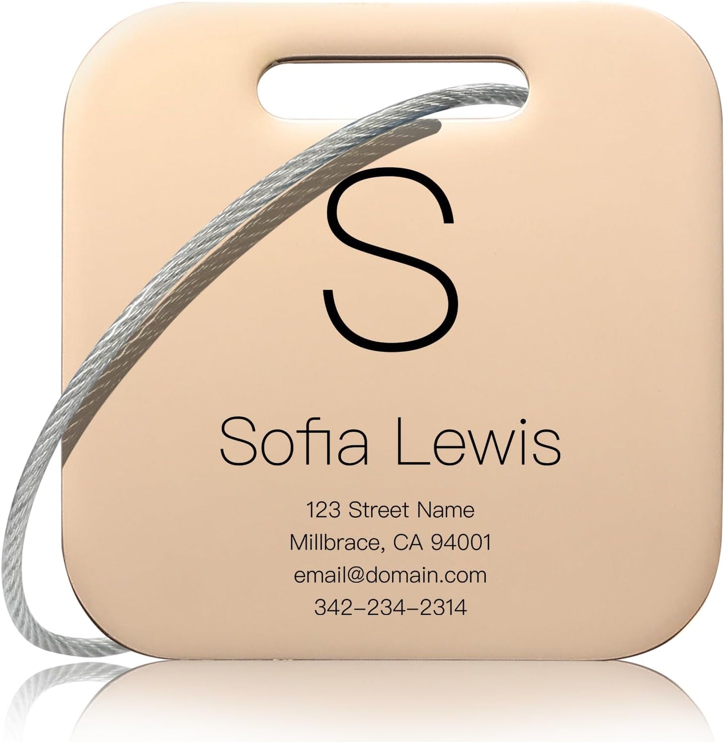 Customized Stainless Steel Luggage Tags: Personalize Your Suitcases, Backpacks, and Bags with Your Text (Rose Gold)
