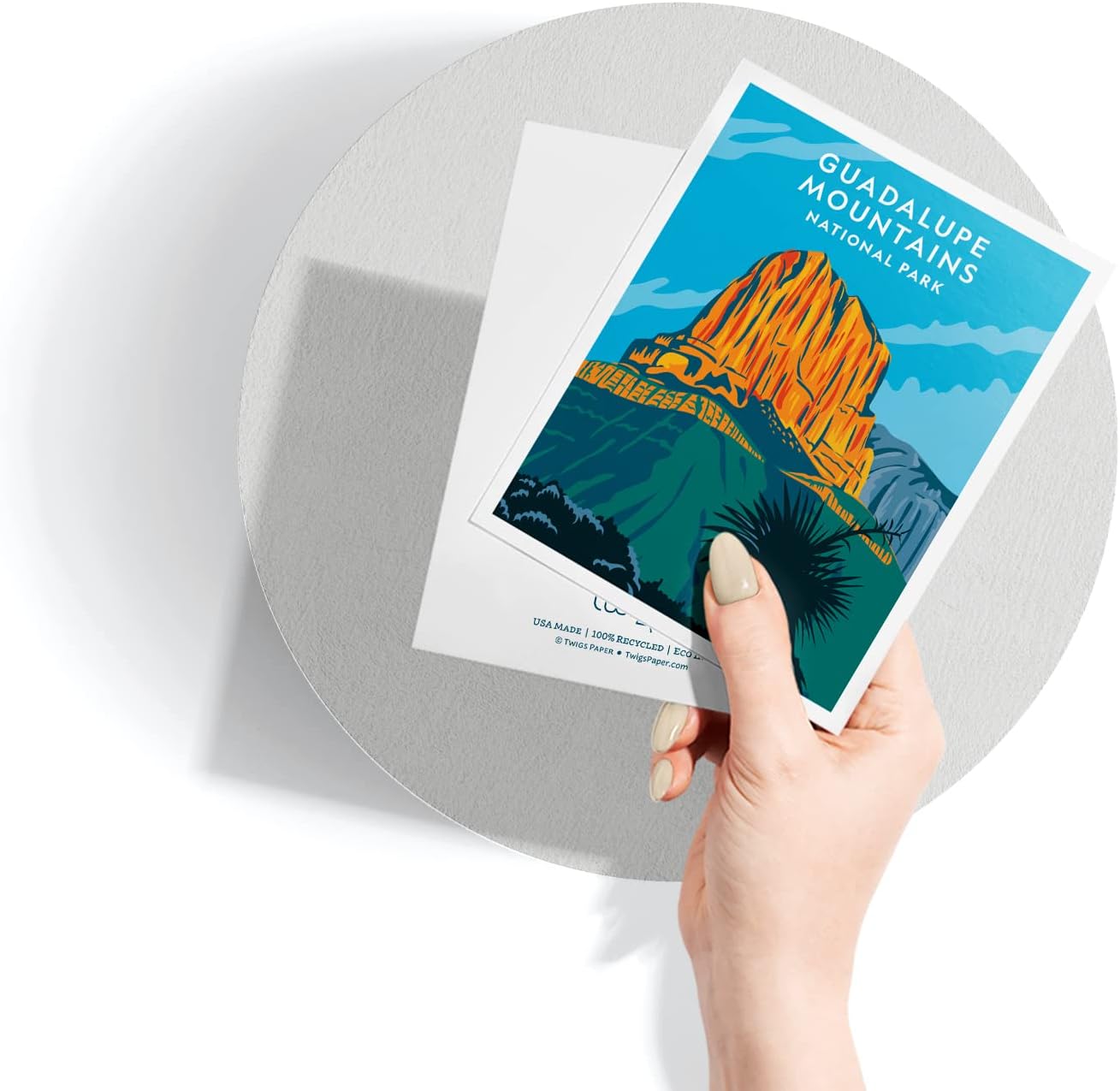 Twigs Paper - Assorted Nature National Parks Greeting Cards - Stationery Cards with Envelopes - Thank You and Blank Note Cards - Greeting Cards for All Occasions - Made in USA (5.5 x 4.25, Set of 12)