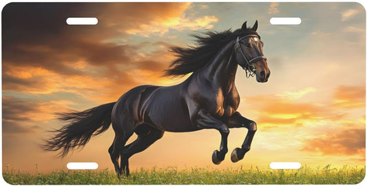 Front License Plate for Car Designs Running Black Animal Horse Stainless License Plate Cover Holder for Men Women Metal Aluminum Decorative Accessory Vanity Tag Standard 6 X 12 inch (4 Holes)