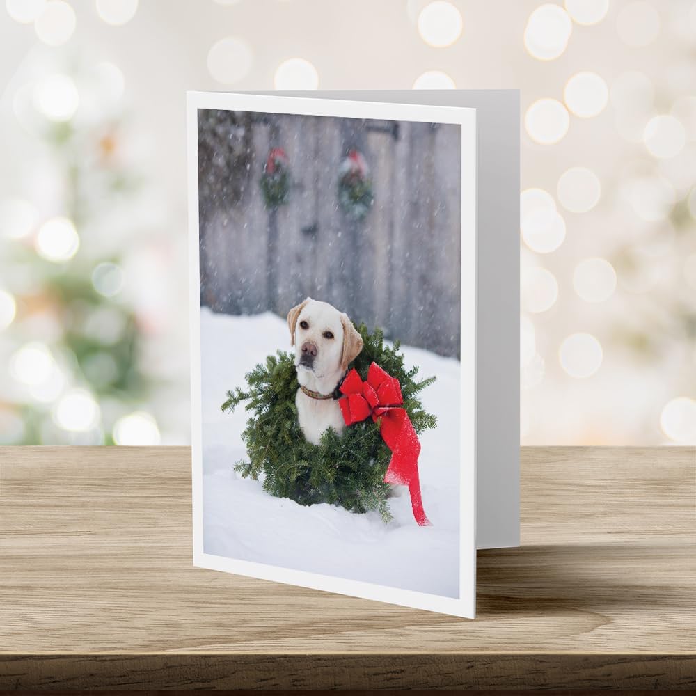 Photographic Happy Holidays Cards, Labrador Wreath (6 Cards with White Envelopes)