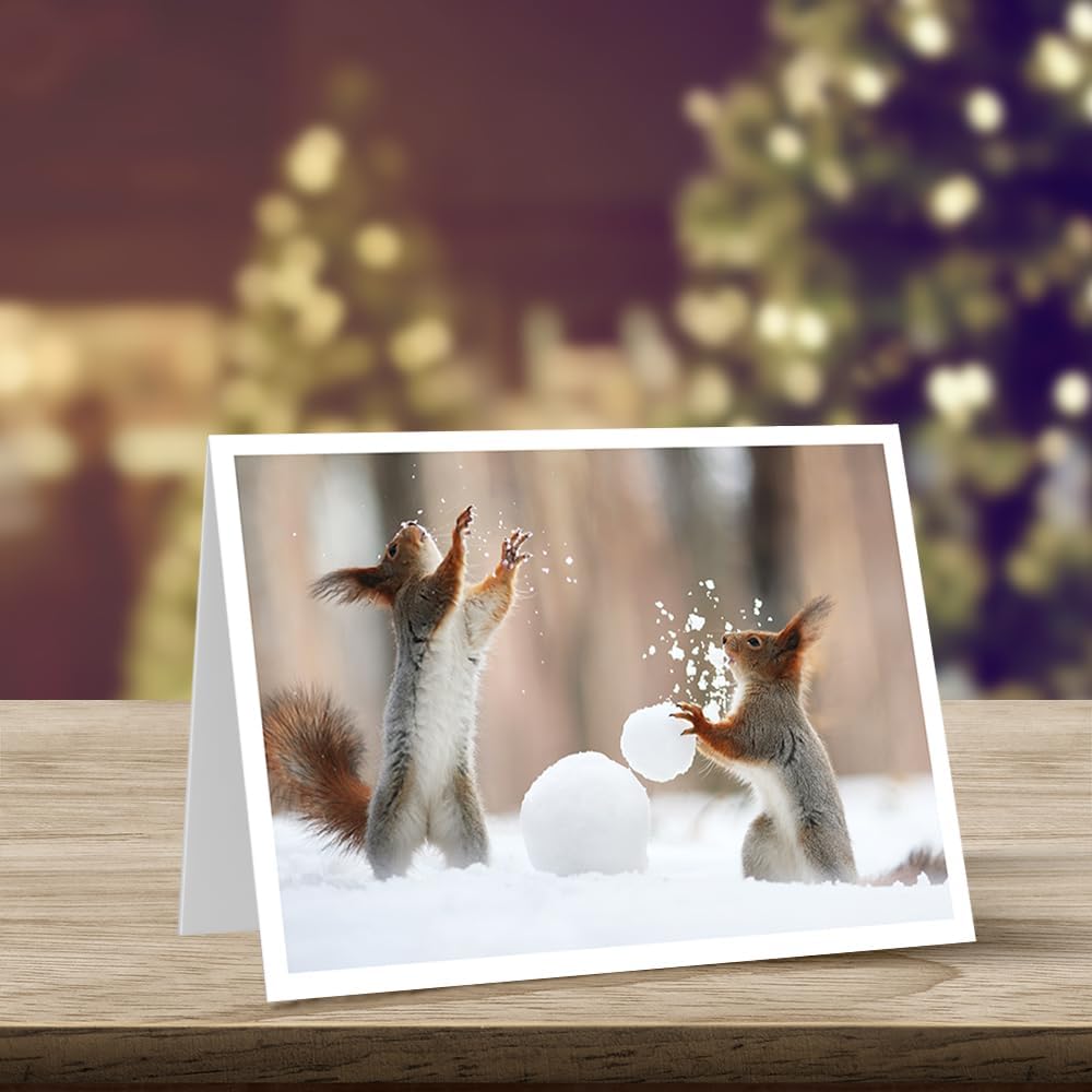 Photographic Happy Holidays Cards, Squirrels Play Catch (6 Cards with White Envelopes)