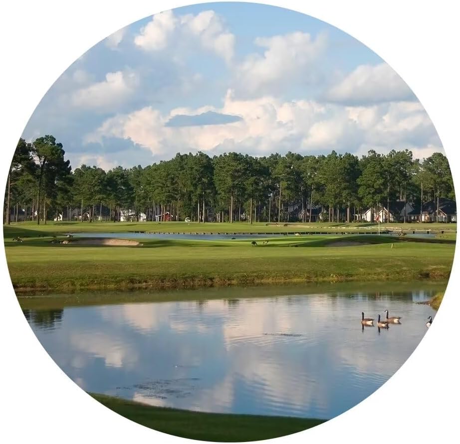 South Carolina Myrtle Beach Wall Art for Living Room Bedroom Bathroom Home Decorations Paintings Canvas Prints Framed Ready to Hang(12''H x 16''W)