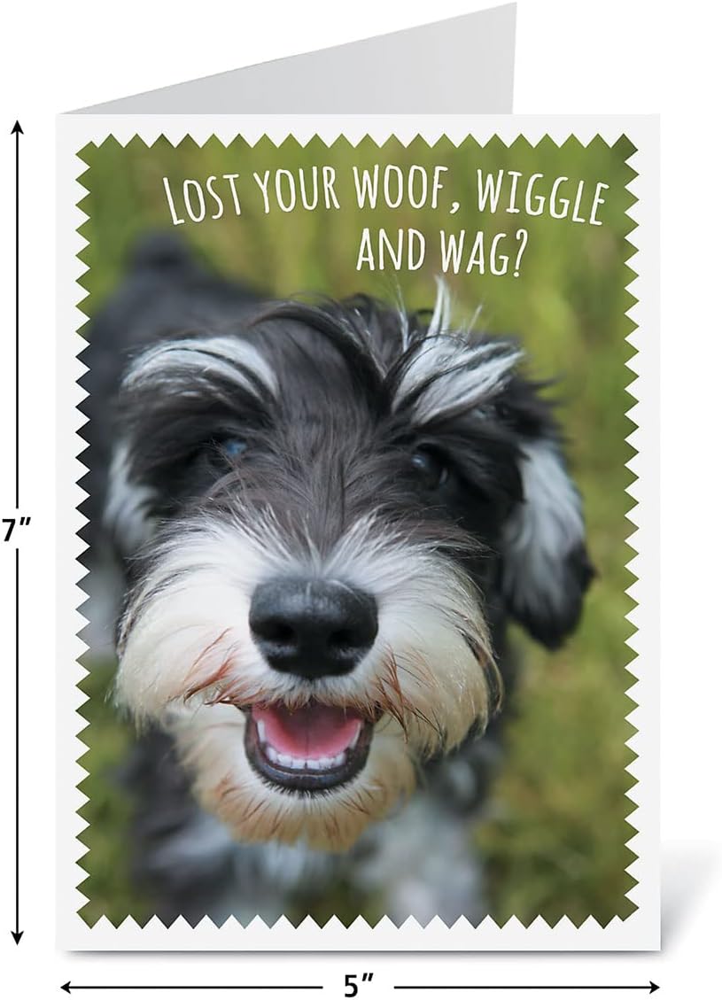 Current Furry Friends Get Well Greeting Cards Value Pack - Set of 20, 10 Unique Designs, Large 5 x 7 Inch Cards, Sentiments Inside, Dogs, Cats, Pets