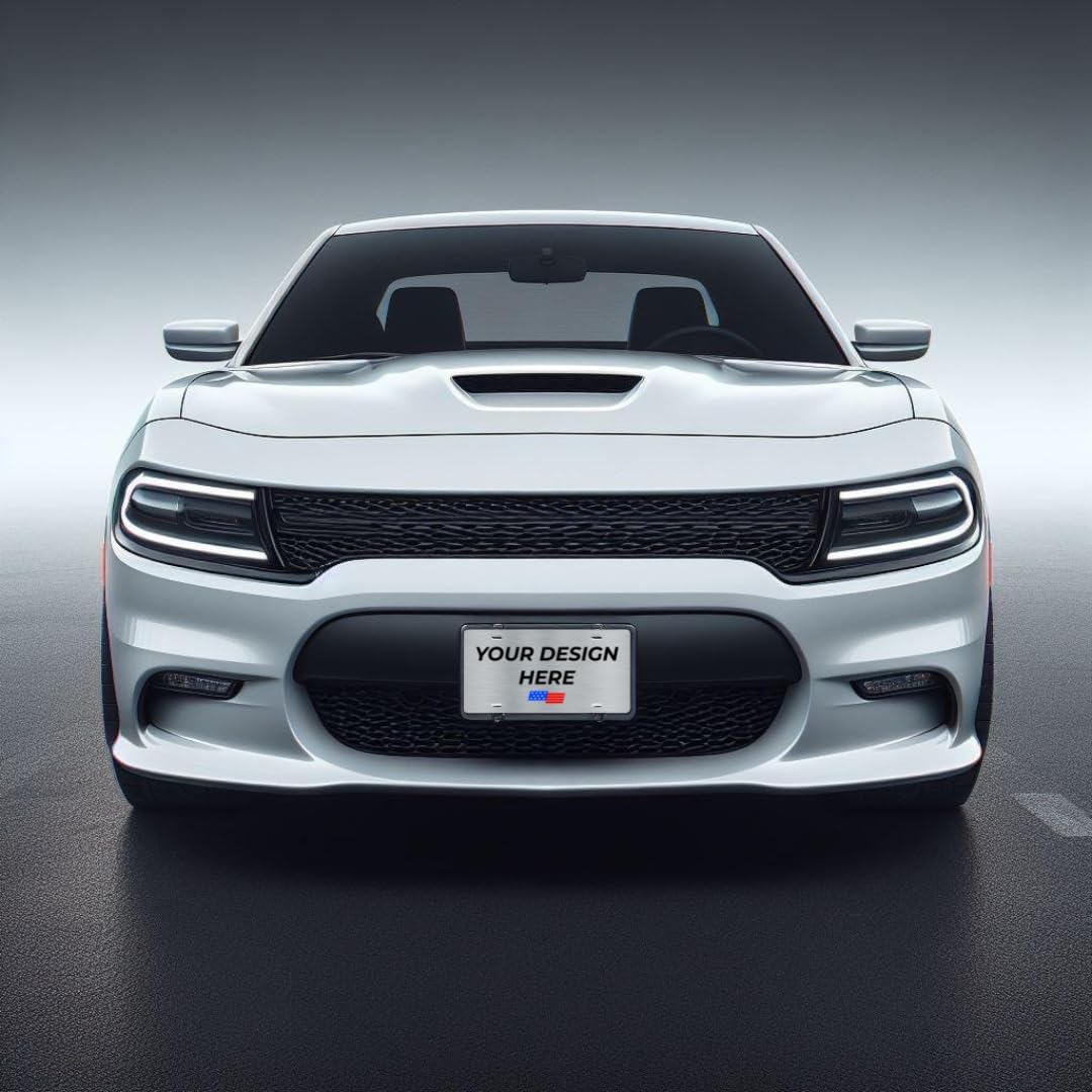 Personalized Custom Vanity License Plate for Cars & Trucks - Decorative Novelty Auto Accessory for Garage, Bar, or Home Display - Upload Your Logo for Your Business (Solid Color)