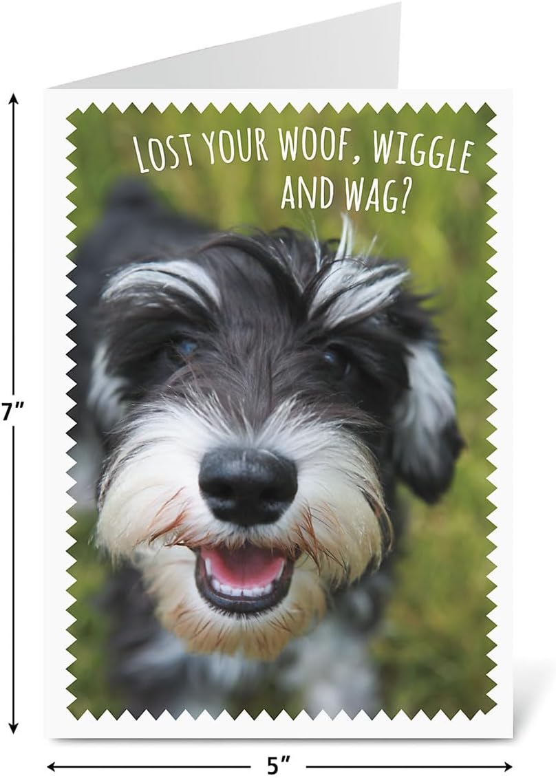 Furry Get Well Greeting Cards - Set of 8 (4 designs), Large 5" x 7", Dog Design Get Well Soon Cards with Sentiments Inside, White Envelopes