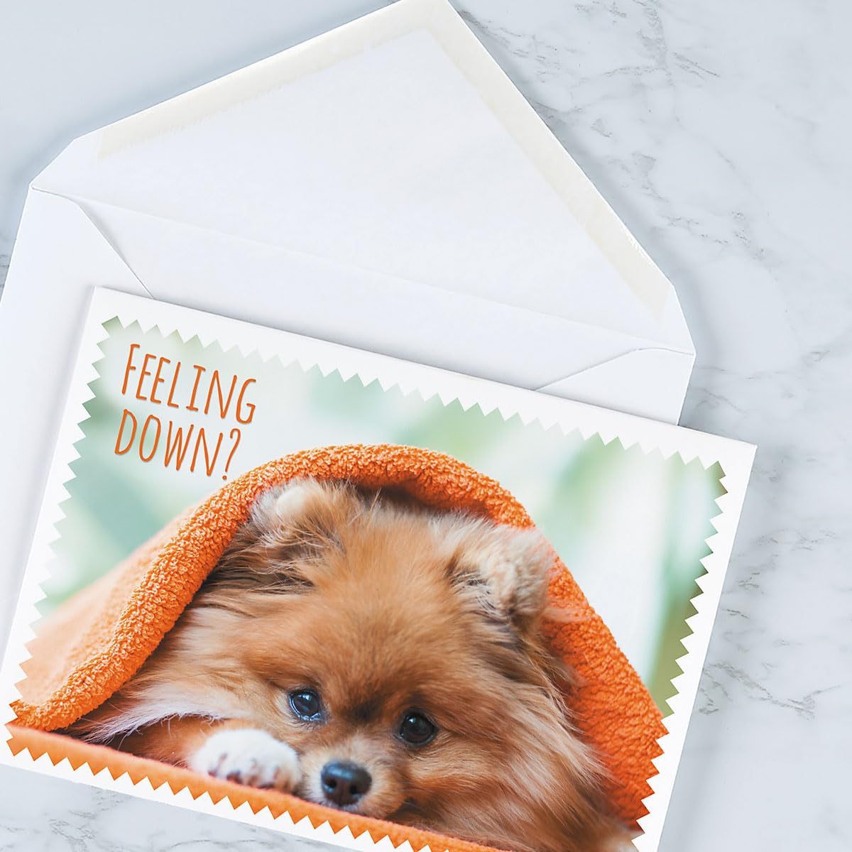 Furry Get Well Greeting Cards - Set of 8 (4 designs), Large 5" x 7", Dog Design Get Well Soon Cards with Sentiments Inside, White Envelopes