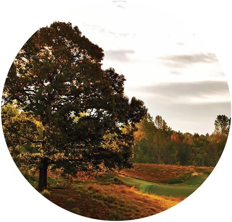 chenchenArt Tobacco Road Golf Course Canvas Wall Art Carolina Golf Course Picture Poster Canvas Prints Wall Decor for Living Room Bedroom Home Decorations Framed Ready to Hang(14''W x 28''H x3)