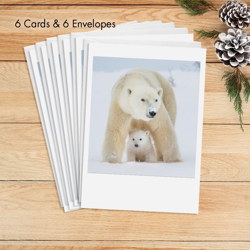 Photographic Happy Holidays Cards, White Polar Bears (6 Cards with White Envelopes)