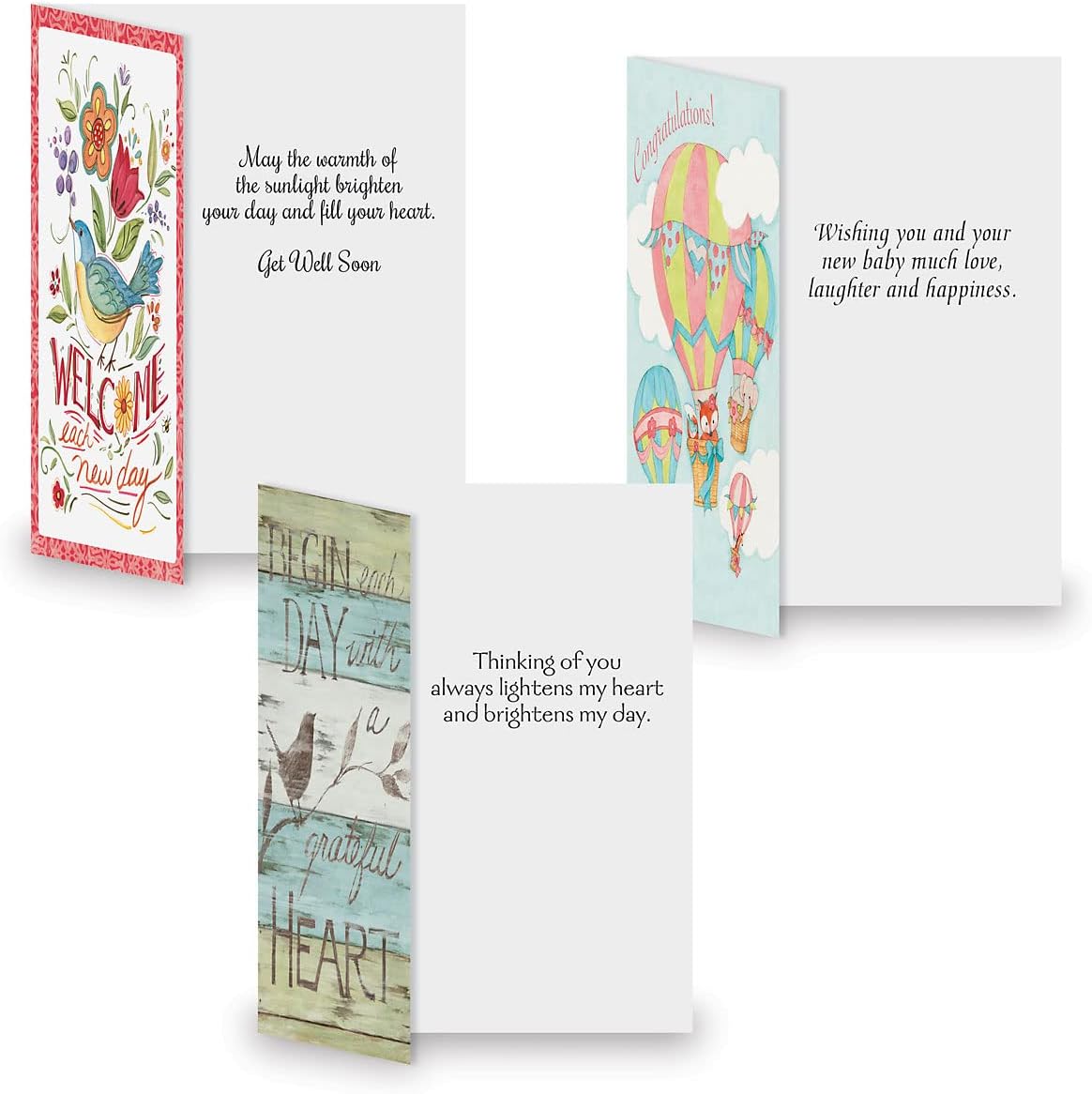 Current Sentiments All Occasion Value Pack-20 Cards With Envelopes,Celebration,Get Well,Sympathy,Birthday,Anniversary & Thinking of You Variety, Large 5" x 7" Assortment,10 Design Set by Susan Winget