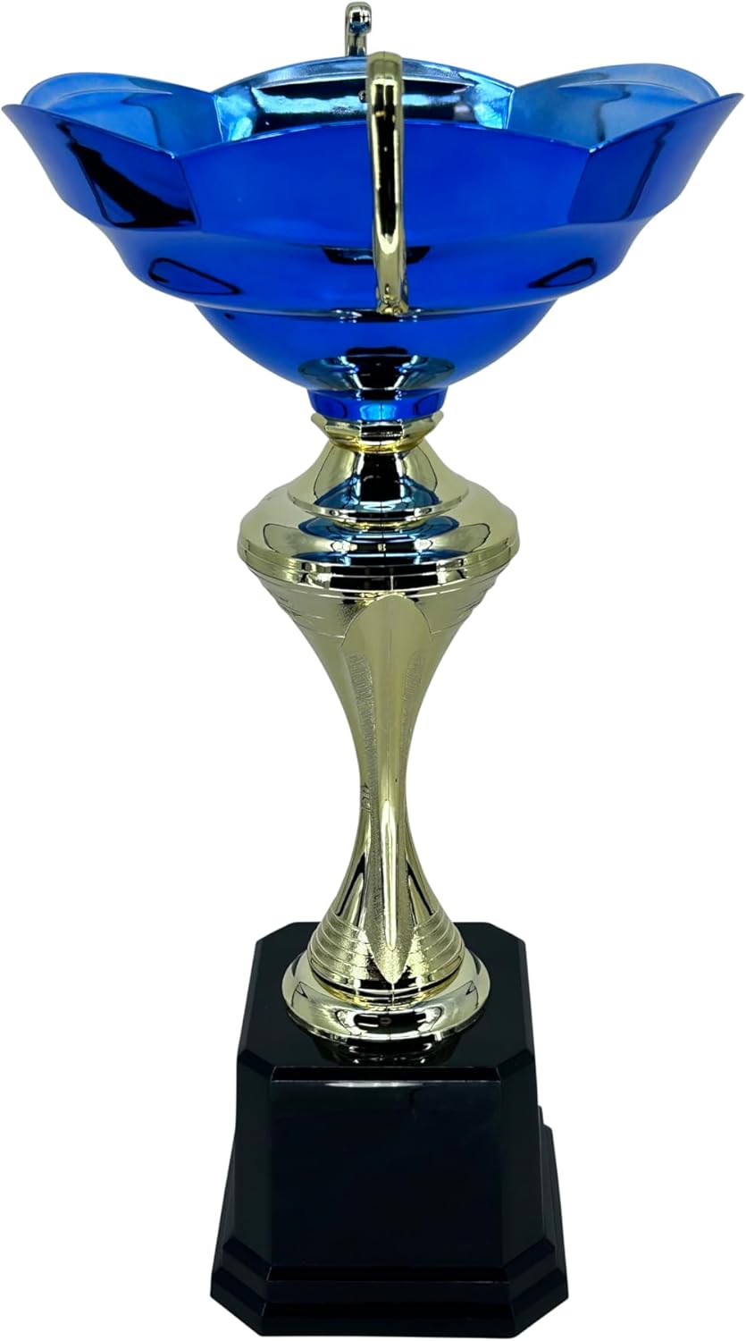 Express Medals Various Styles of Award Trophy Cups Trophies Prize Gift Champion Winner 1st Place