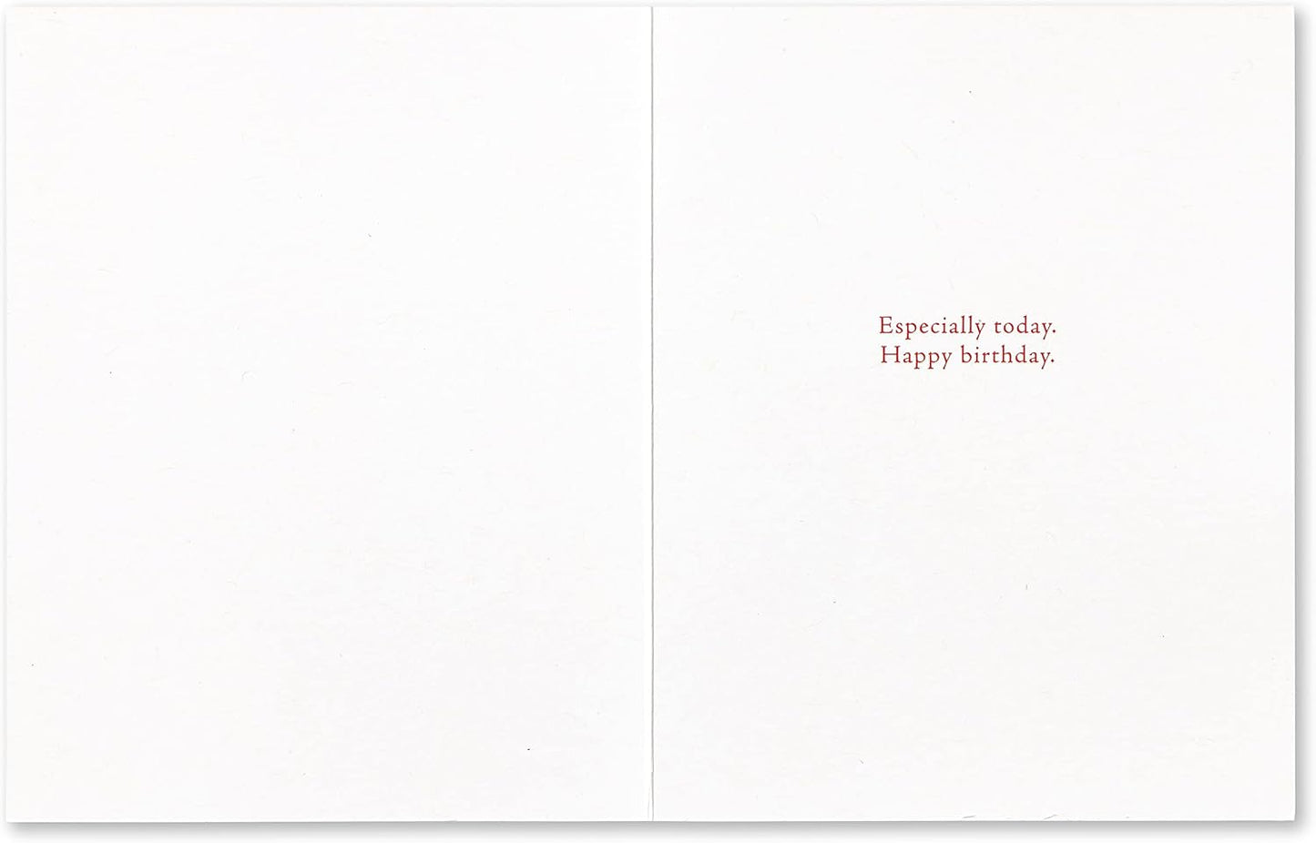 Compendium Positively Green 4-Pack of Birthday Cards – Nature (Four Different Designs, One Card Each, with Envelopes)