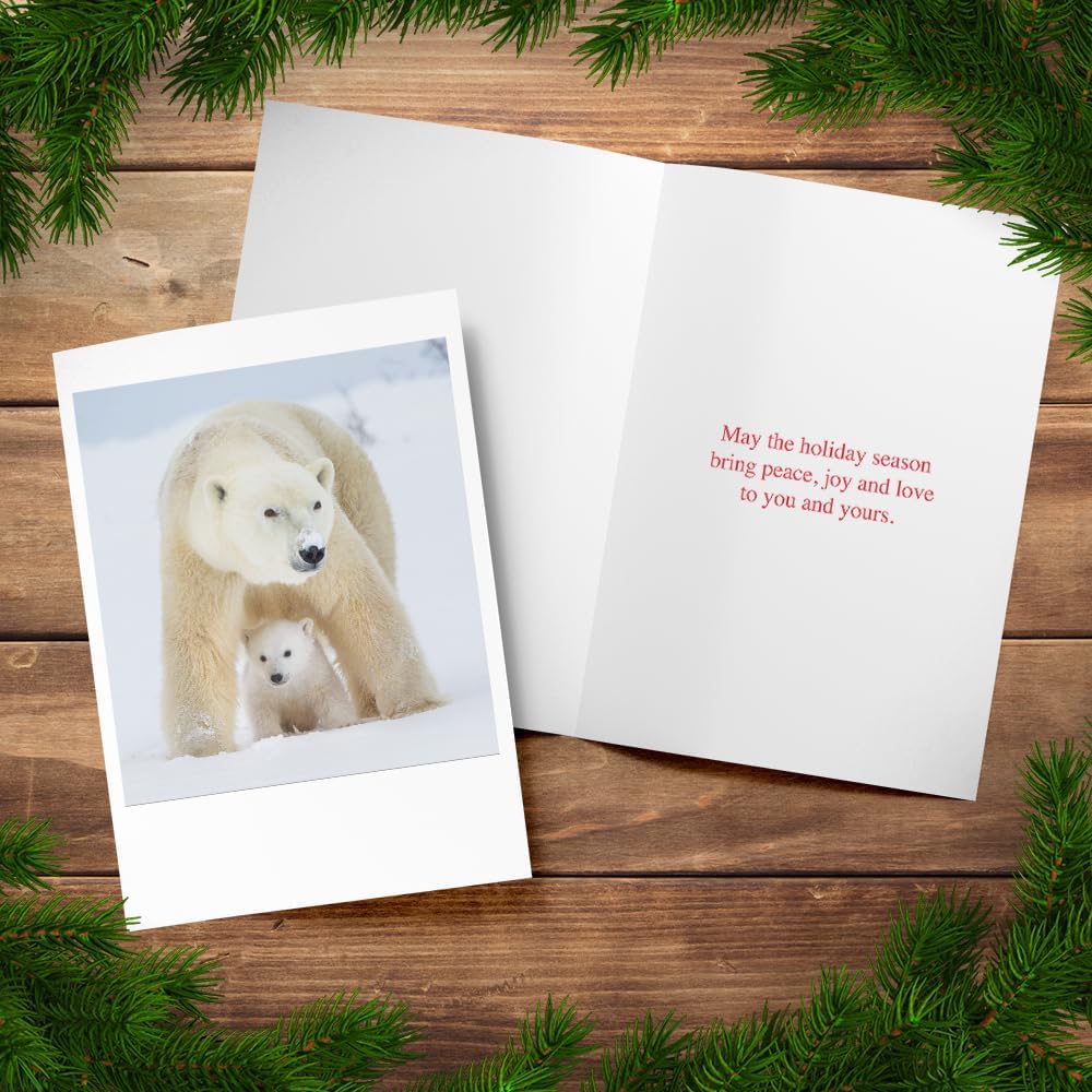 Photographic Happy Holidays Cards, White Polar Bears (6 Cards with White Envelopes)