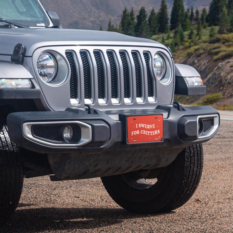 Unique Vanity License Plates | 16 Individual Designs | 3 Sizes (Automobile, Golf Cart, Motorcycle/Bike) | Made in U.S.A. | Custom Car Tags (I Brake for Critters, Motorcycle/Bike (6" x 3"))